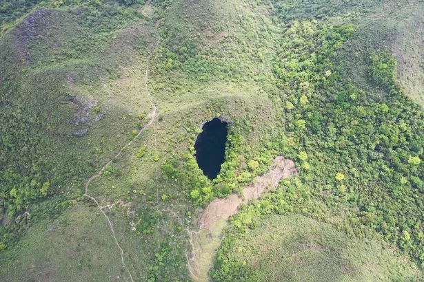 Inside massive sinkhole with ancient forest that can host undiscovered species - Daily Star