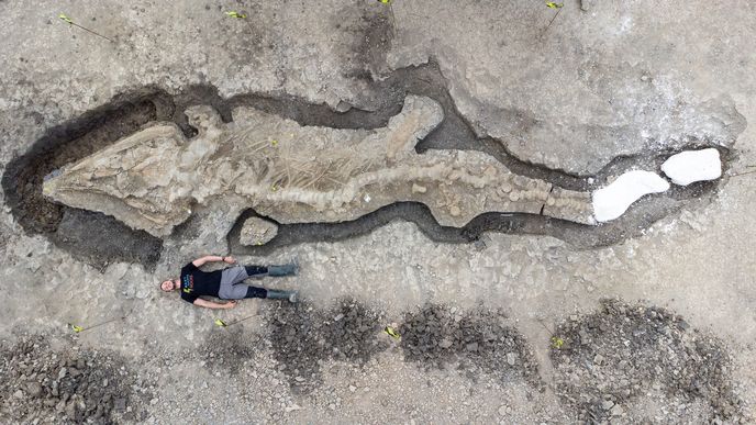 Enormous sea dragon fossil from 180 million years ago discovered in England | Live Science