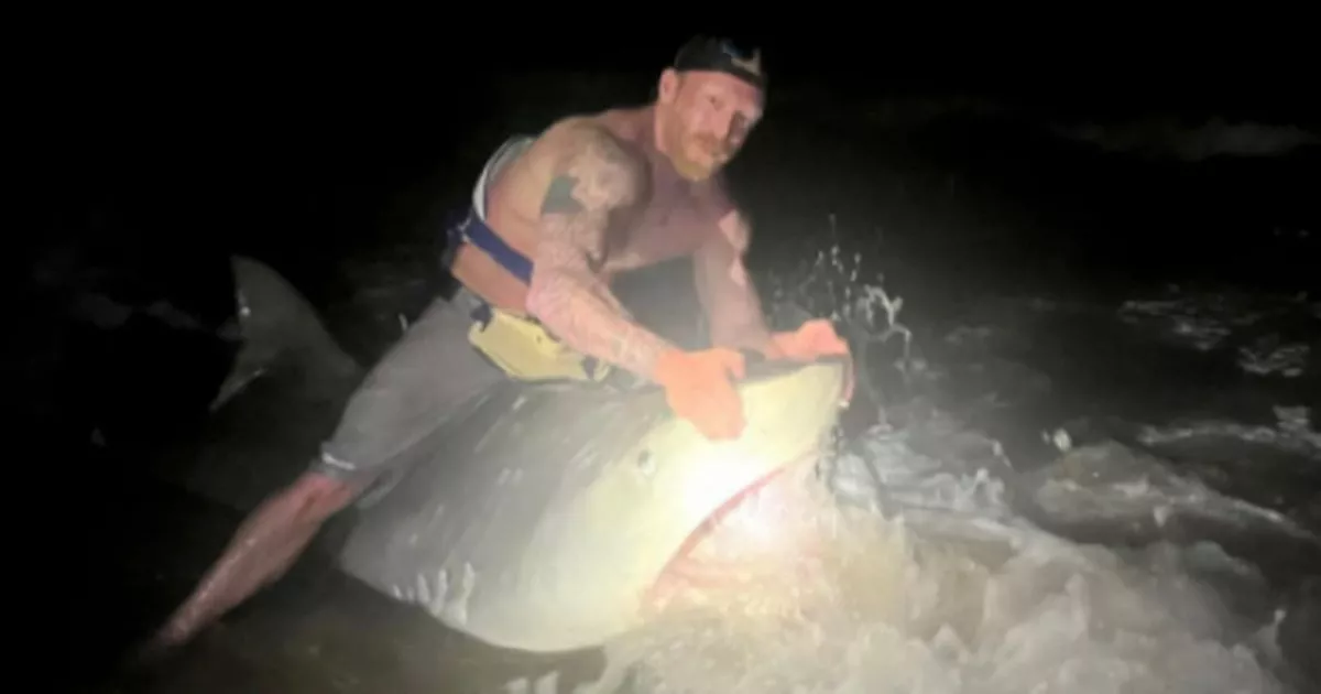 Dad wrestles with 12ft 'monster' shark as fishing trip with son becomes sea battle - Daily Star