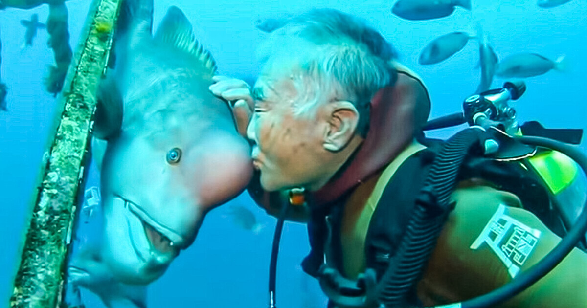A Man and a Lovely Fish Became Besties for Nearly 30 Years After He Helped It Get Back to Life / Bright Side